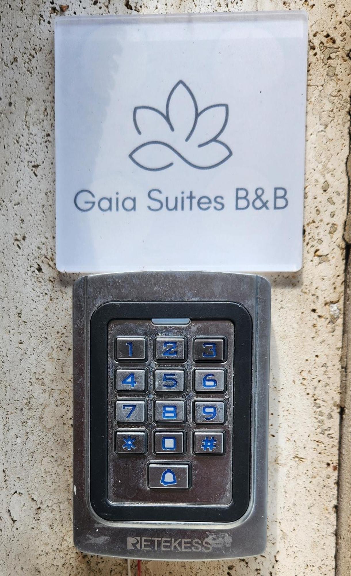 Gaia Suites - A Due Passi Dal Centro - Parcheggio Privato Турин Экстерьер фото
